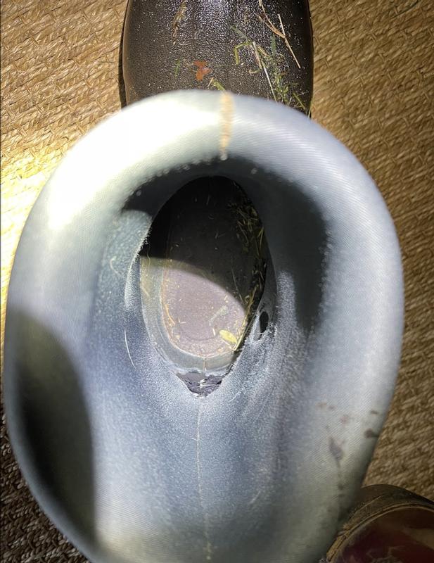Photo submitted with review of product