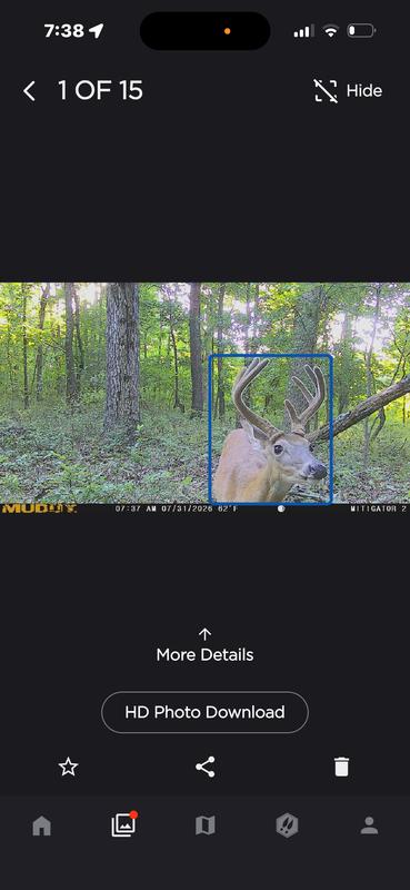 First buck of the year!