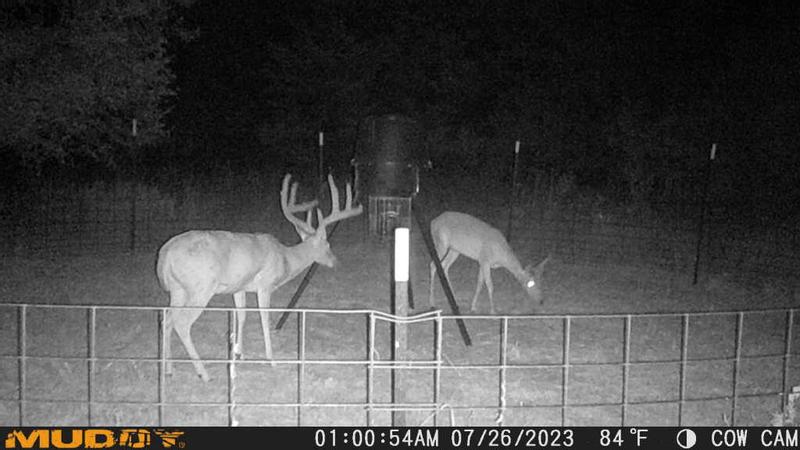 Cellular Trail Camera Muddy Camera App Muddy Outdoor Manifest