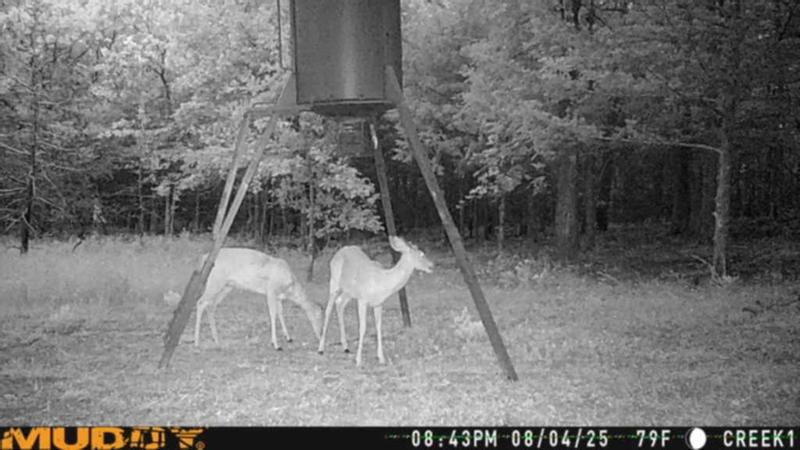 Mitigator Pack Muddy Outdoors