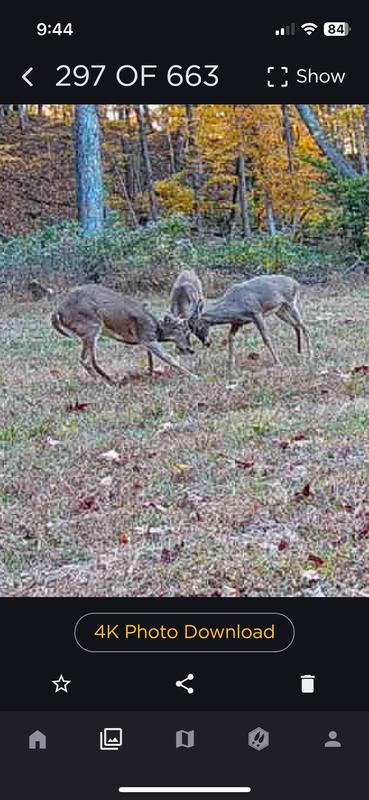 Decent quality pictures