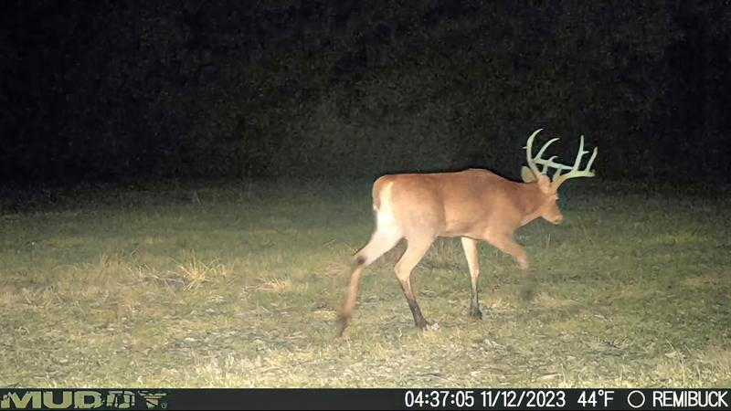 WHITE TAIL MARKING TACKS | Muddy Outdoors