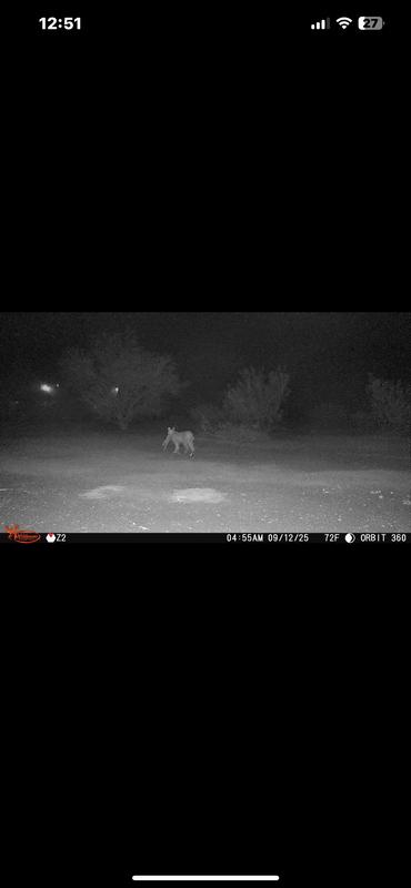 Test photos in my backyard.