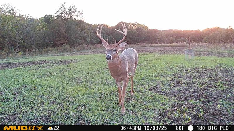 Muddy TRF180 Trifecta 180 Cellular Trail Camera, 36MP, 1080P Video