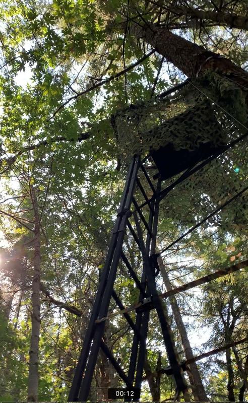 view looking up from ground level