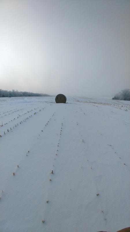 Set up in middle of a field. Deer don't care...shot 2 does and a mature buck out if it in 4 sits.