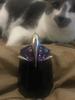 User submitted photo