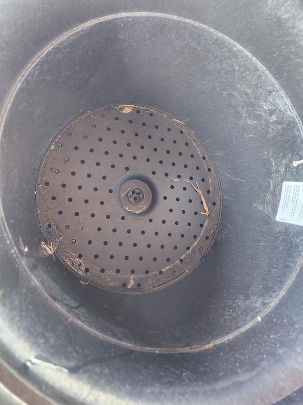 Self watering to prevent root rot