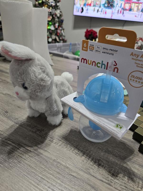 Photo - commentaire&nbsp;5.