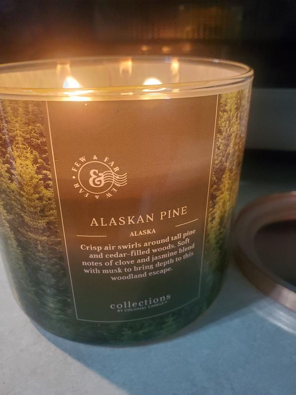 14.5oz Scented Jar Candle Alaska Pine Travel Collection by Colonial Candle 