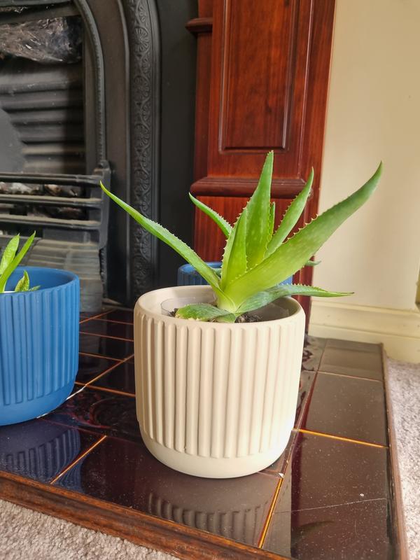 Vue Dakota Ribbed Terracotta Planter Pot 14cm In Raffia