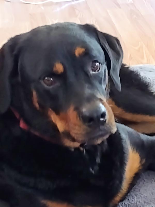 Photo - commentaire&nbsp;2.