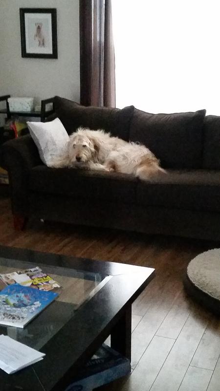 Before the bones happy go lucky