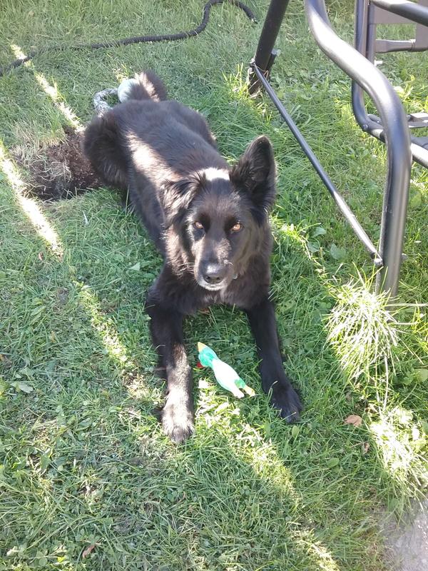 Moi et ma petite poulette