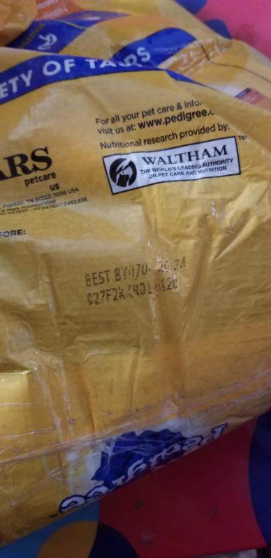 Photo - commentaire 7.