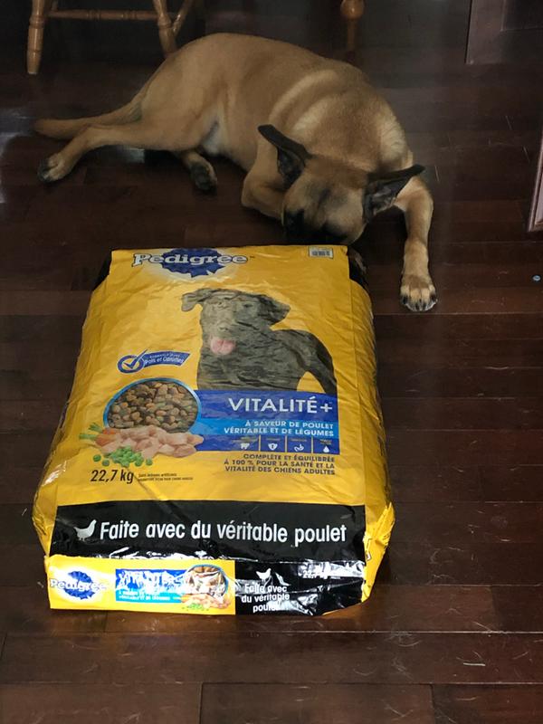 Pedigree Nourriture sèche pour chiens VITALITÉ+ saveur de bœuf