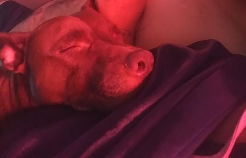 Photo - commentaire 6.