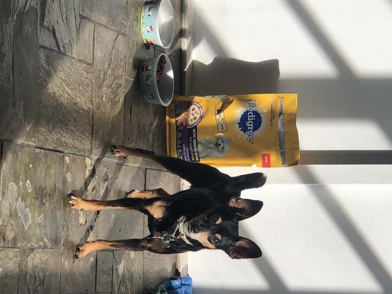 Photo - commentaire&nbsp;1.