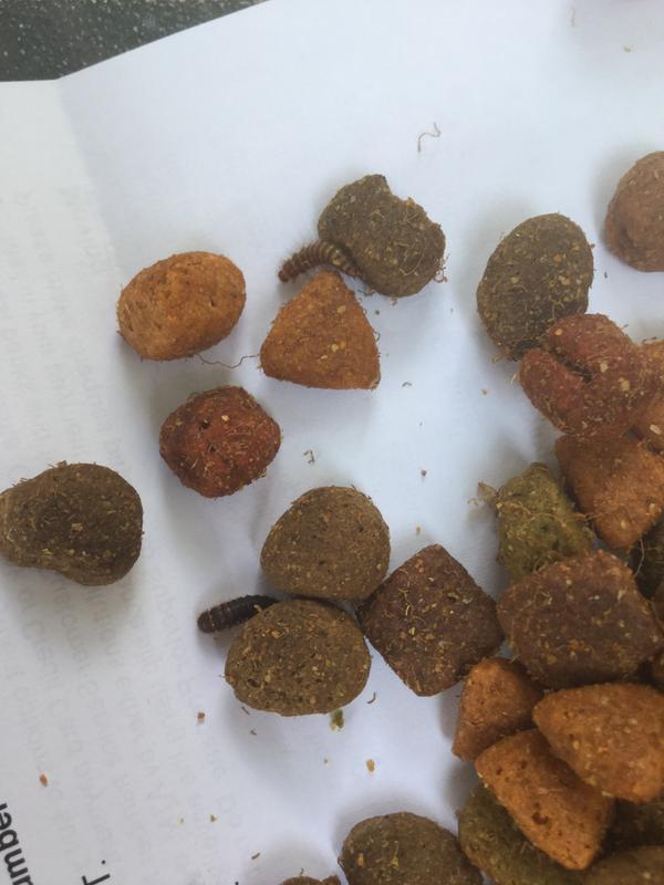 Photo - commentaire&nbsp;2.