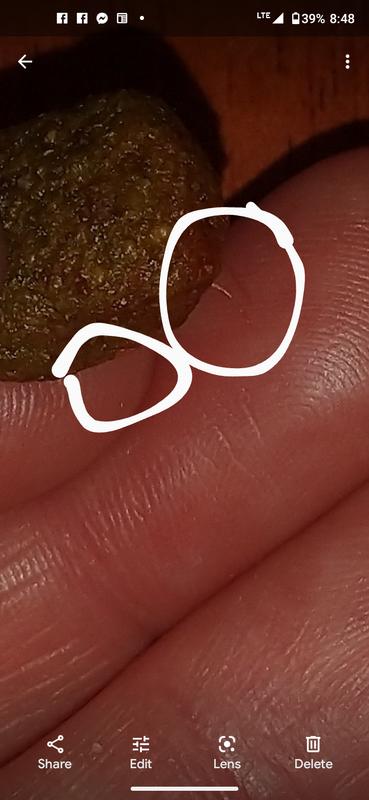 Some type of bristles or hair in my dog's Pedigree dog food!? Brand New bag omg