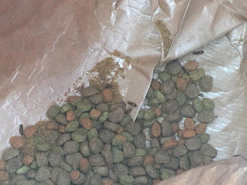 Photo - commentaire 7.