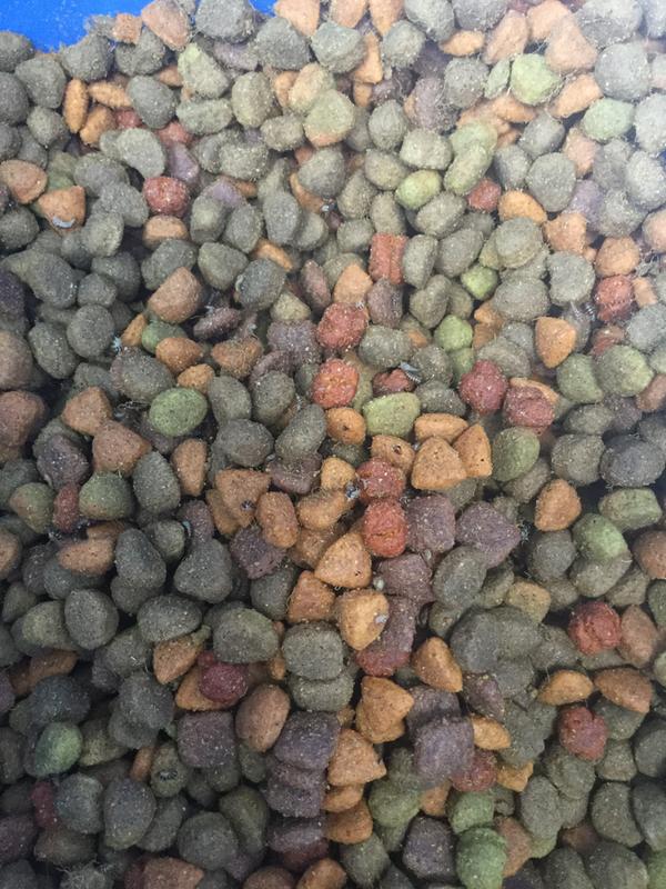 Photo - commentaire&nbsp;5.