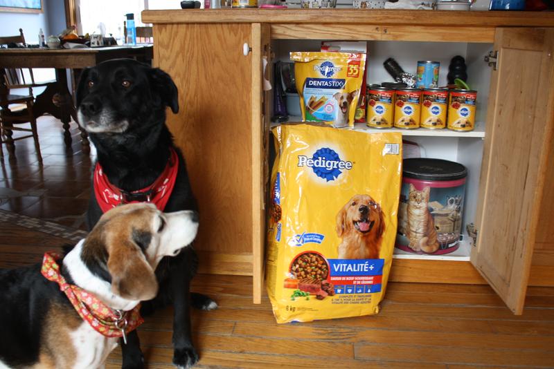 Lily et Biscuit et vos produits