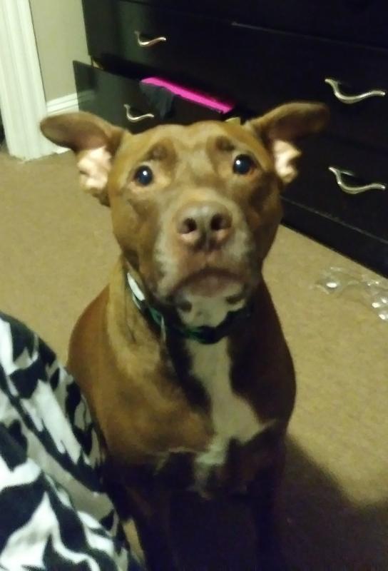 Photo - commentaire 5.