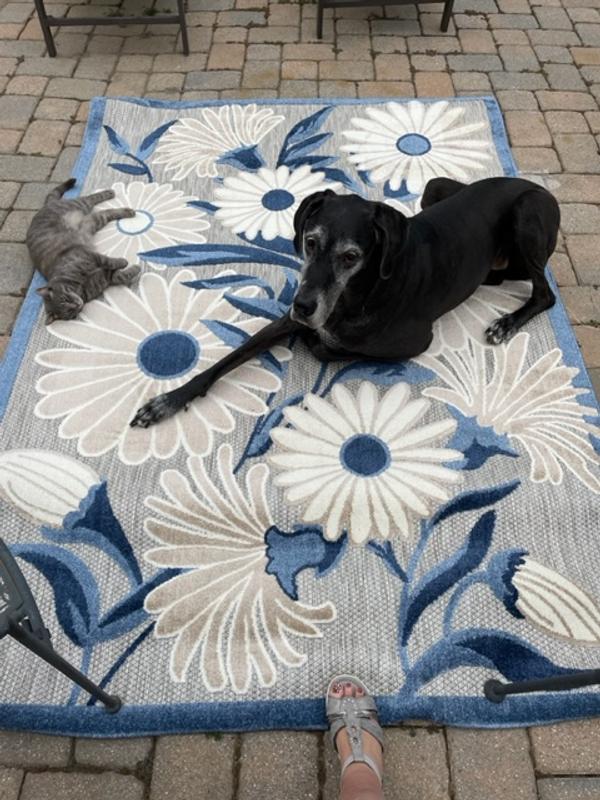 Aloha Floral Blue/Grey Outdoor Rug, ALH33 | Nourison Home