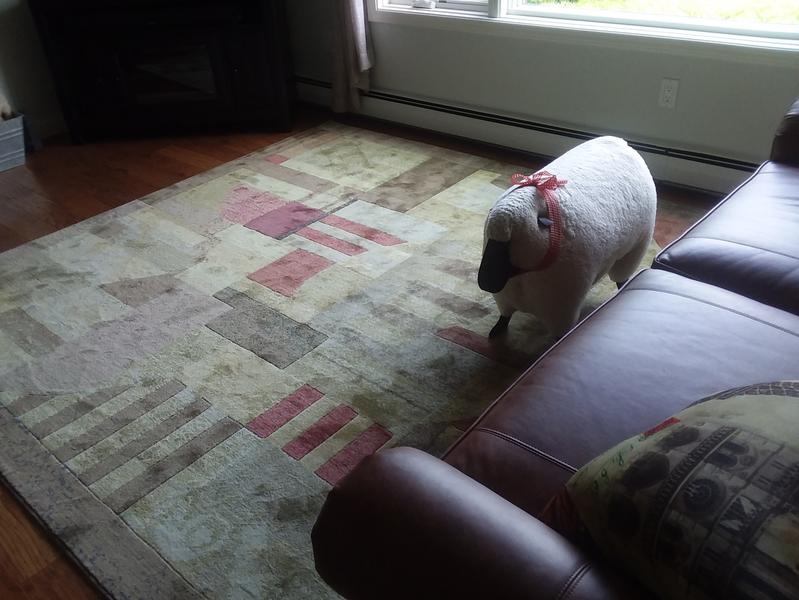 Photo from DoodleMom