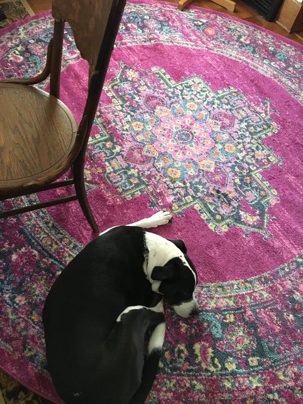 Even the dog likes it!