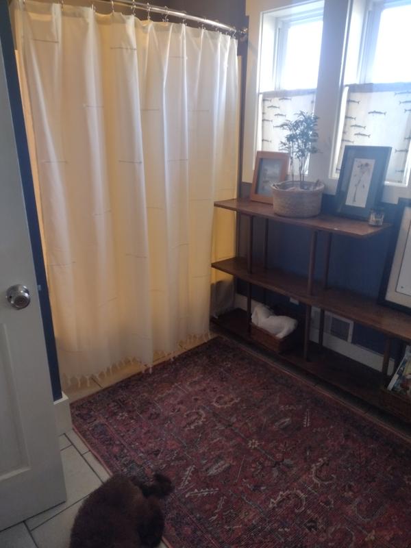 Photo from Adiantum