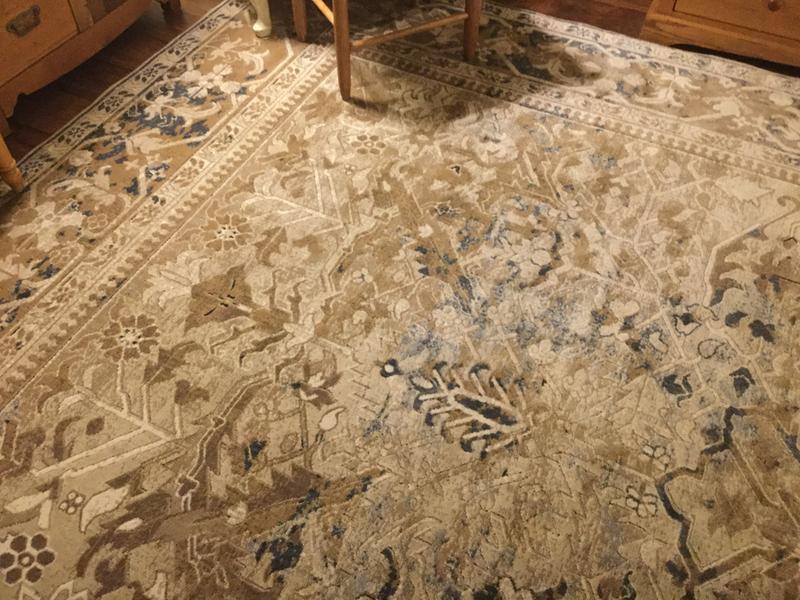 Nourison rug