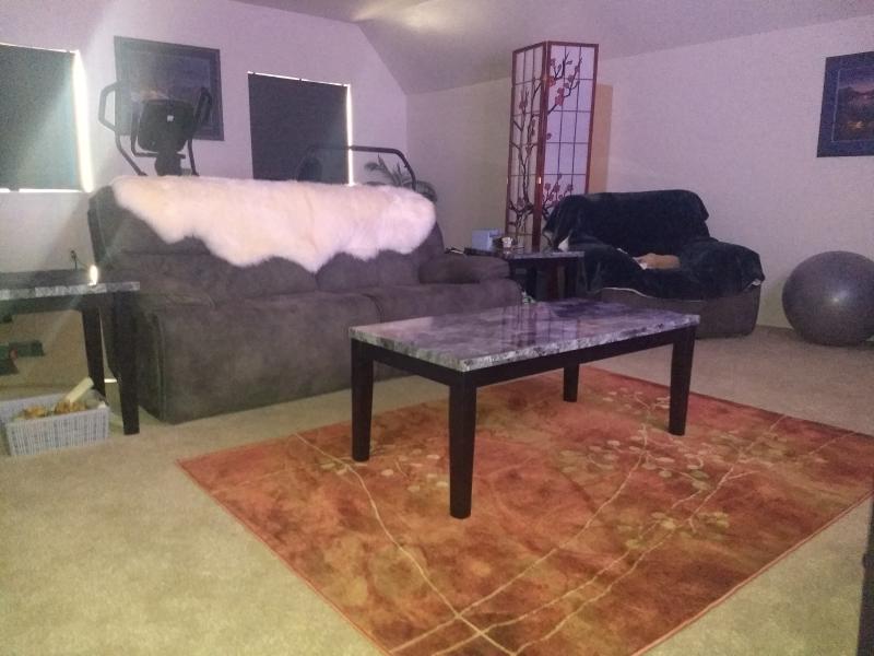 The finishing touch on our media/workout room