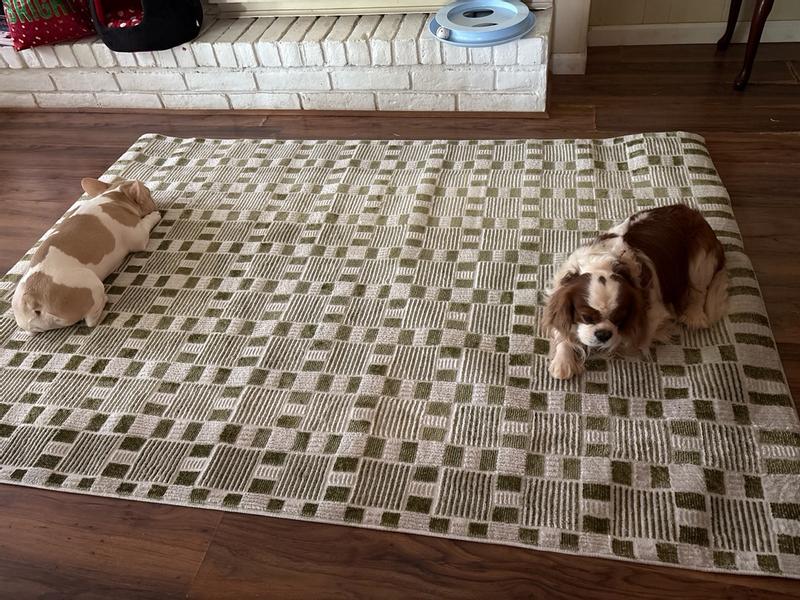 Nordic Green Indoor only Geometric Rug, NRC13 | Nourison