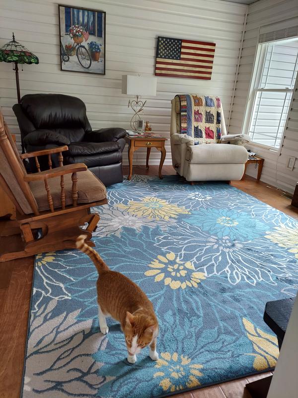 New sunporch rug..love it