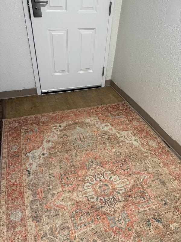 Vintage Washables Coral Taupe Indoor only Persian Rug, VWS07