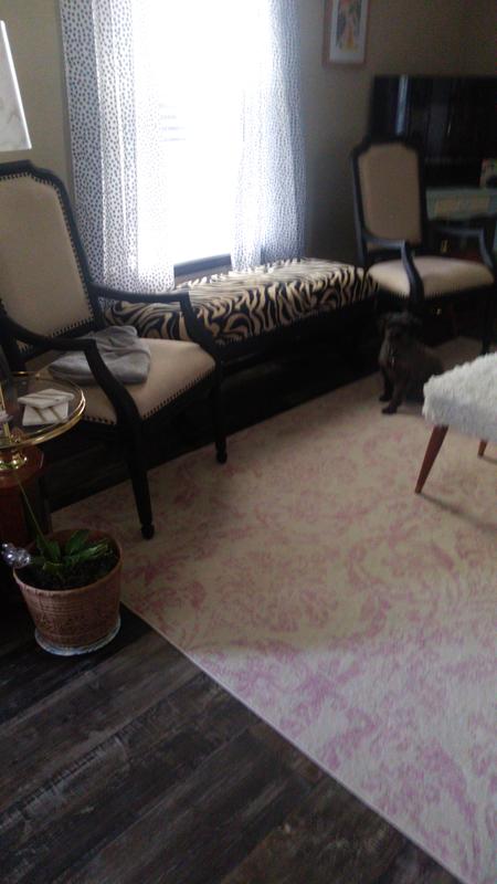 Perfect & puppy likes it too