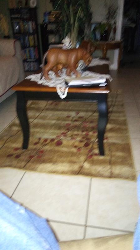 Our new rug