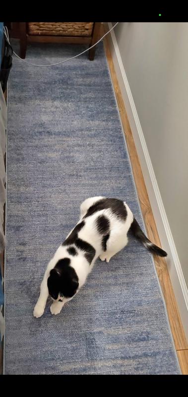 Cat had to test the quality with her nails lol