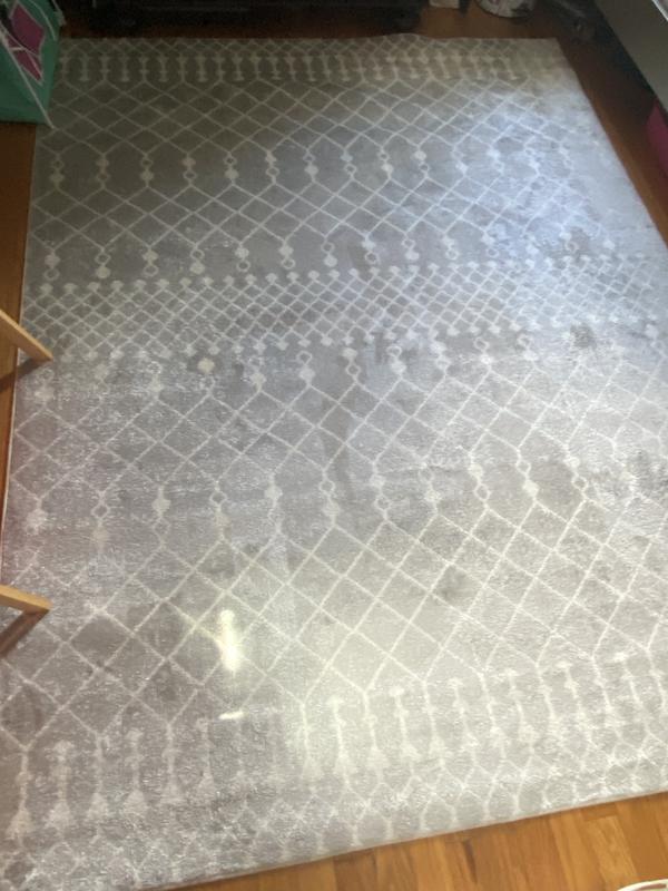 Astra grey Moroccan transitional are rug