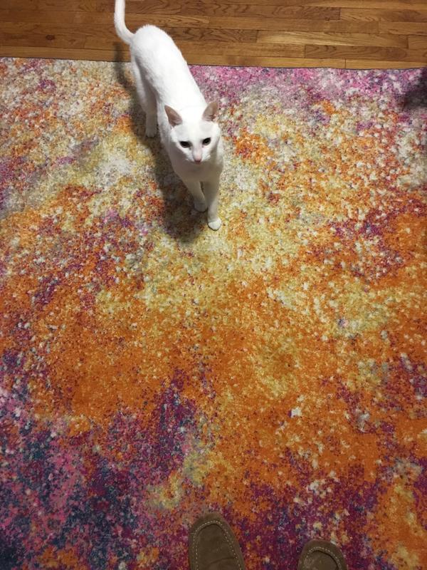 my cat likes it too