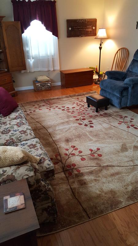 New Living Room Rug