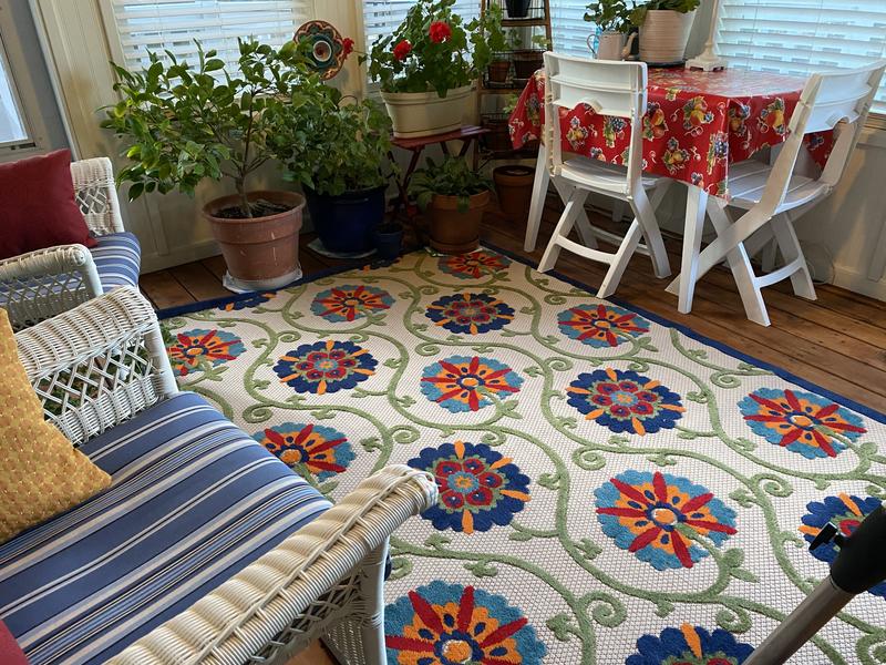 My new rug in our sunroom