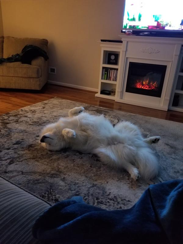 Yoshi loves it too!