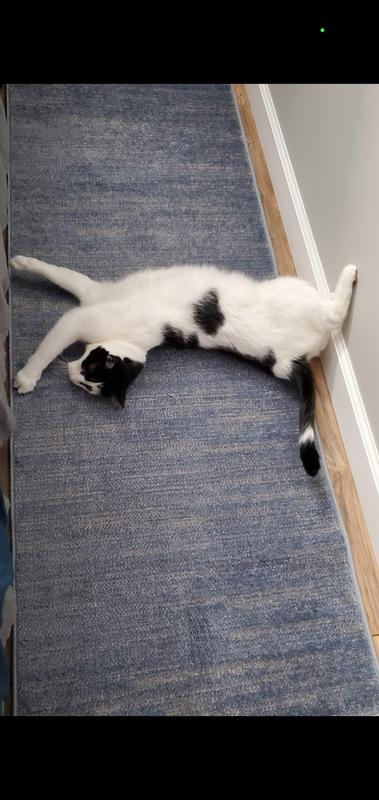 Love the new rugs, Mom and Dad!