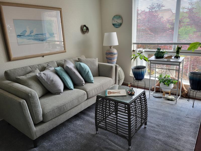 My new area rug in living room