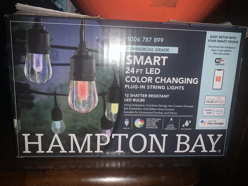 Hampton Bay Indoor/Outdoor 12-Light 24 ft. Smart Plug-in Edison Bulb RGBW  Color Changing LED String Light Powered by Hubspace HB-10521-HS - The Home  Depot