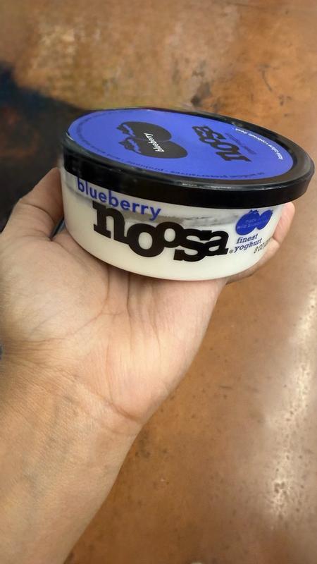 Blueberry Yogurt 8oz Tub - Noosa Yoghurt