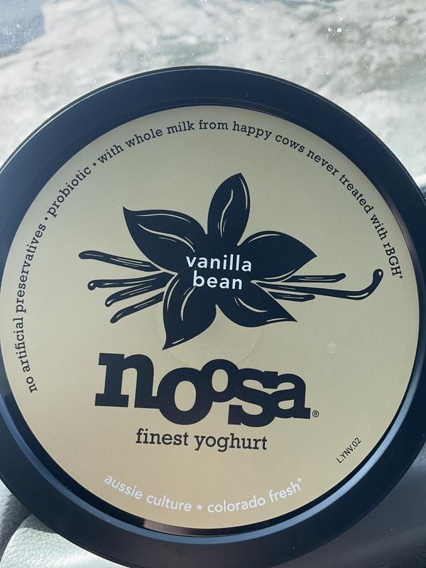 Vanilla Yogurt 8oz Tub - Noosa Yoghurt